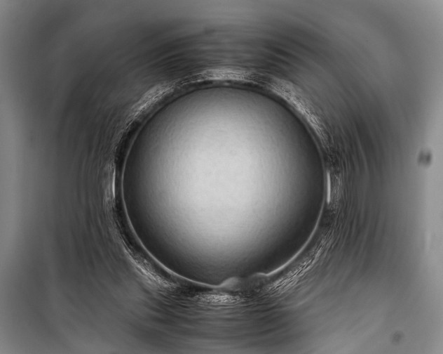 X0000100950253200807011315