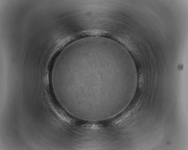 X0000100950254200807011315
