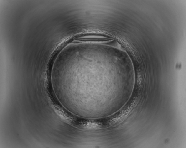 X0000100950256200807011315