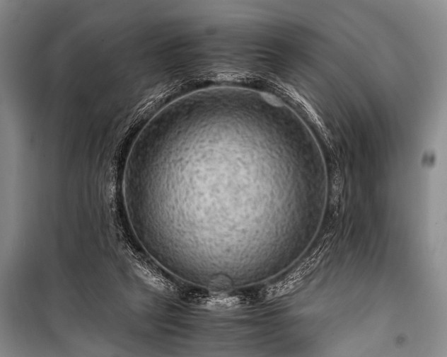 X0000100950257200807011315