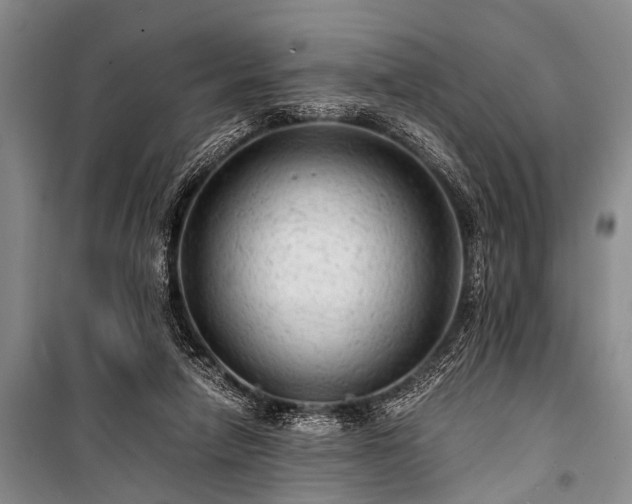 X0000100950258200807011315