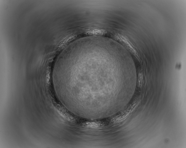 X0000100950259200807011315