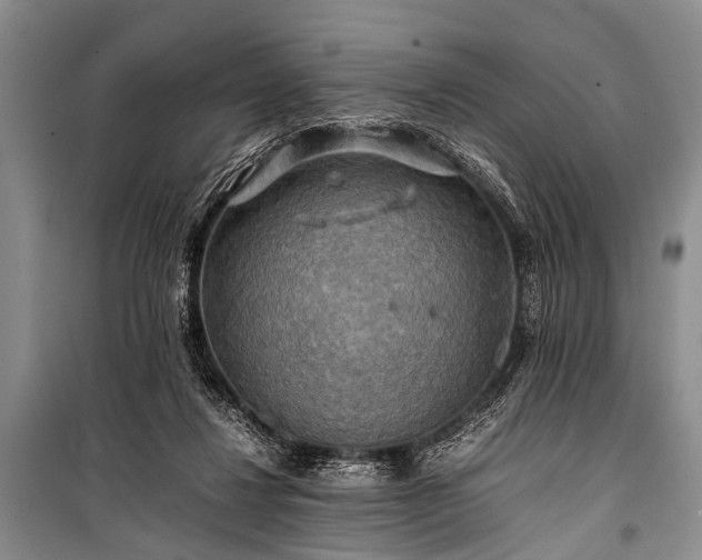 X0000100950260200807011315