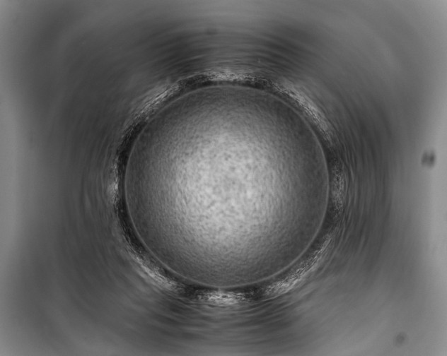 X0000100950261200807011315