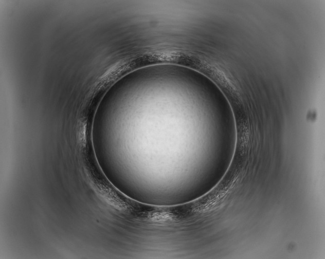X0000100950262200807011315