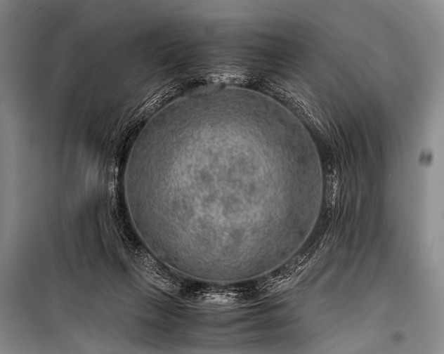 X0000100950263200807011315