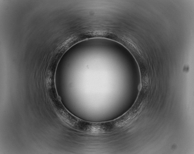 X0000100950264200807011315
