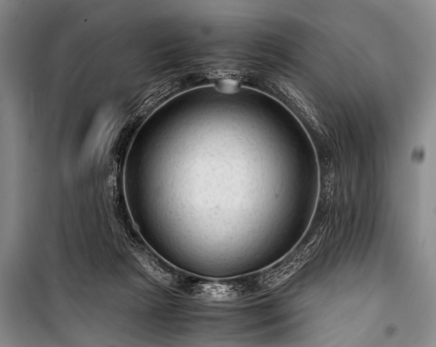 X0000100950265200807011315