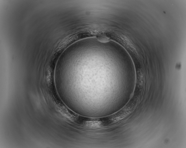X0000100950266200807011315