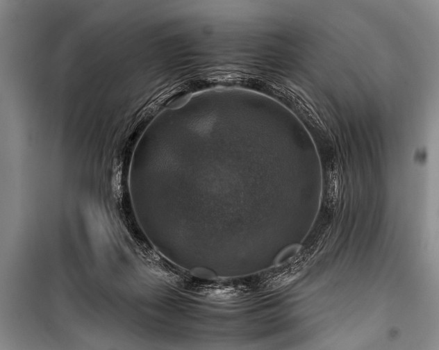 X0000100950267200807011315