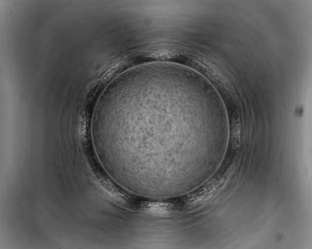 X0000100950268200807011315