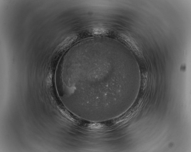 X0000100950269200807011315
