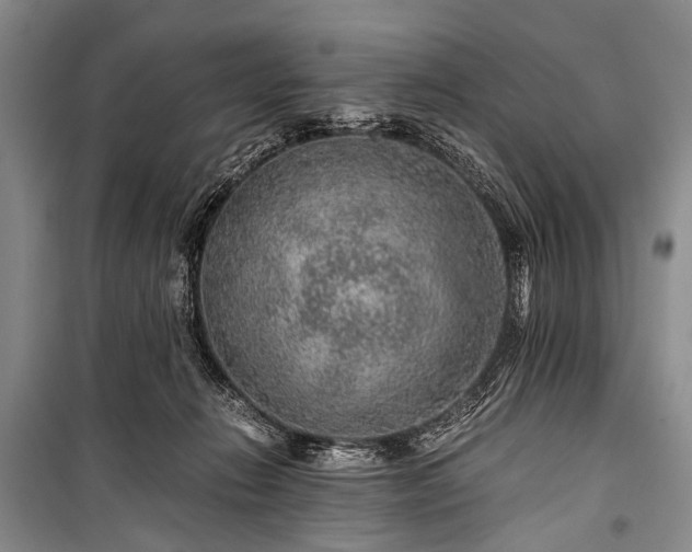 X0000100950270200807011315