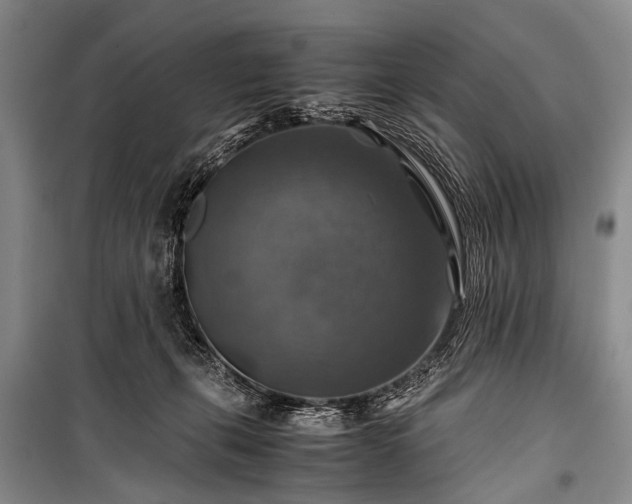 X0000100950271200807011315