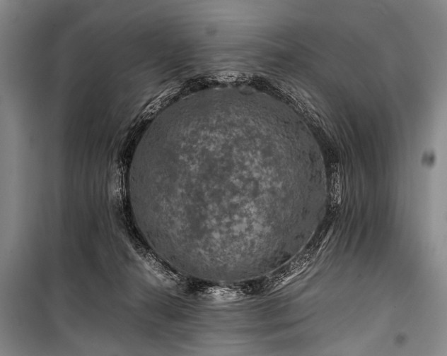 X0000100950272200807011315