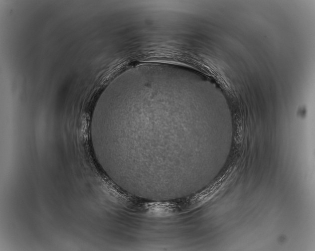 X0000100950273200807011316