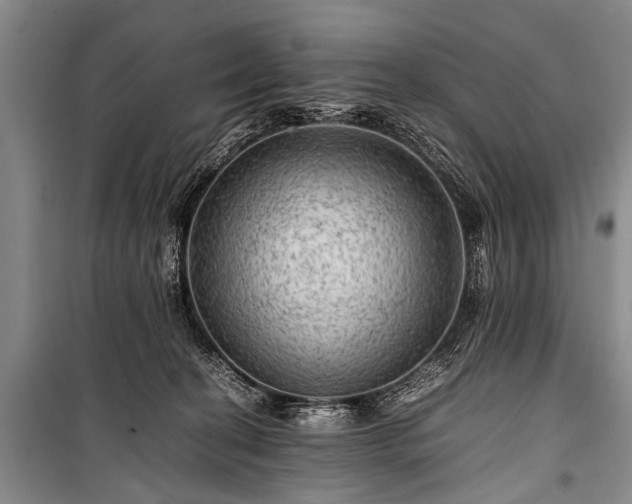 X0000100950274200807011316