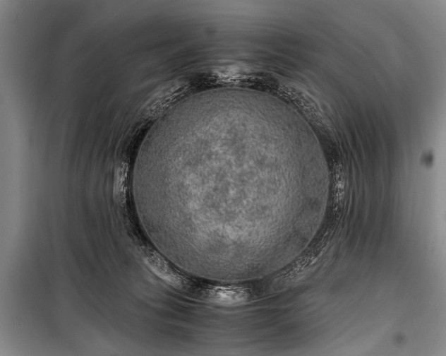 X0000100950275200807011316