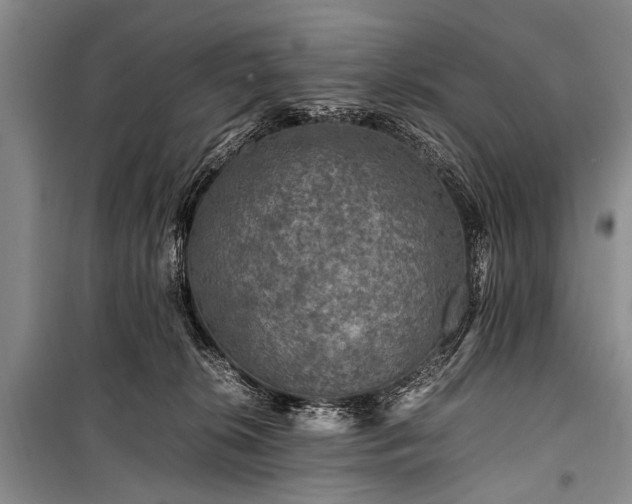 X0000100950276200807011316