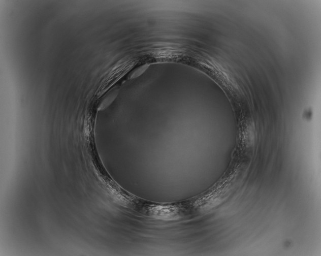 X0000100950277200807011316