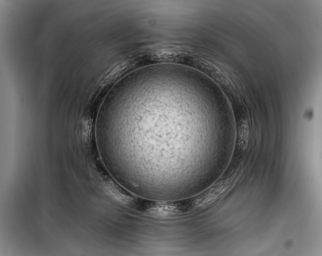 X0000100950278200807011316