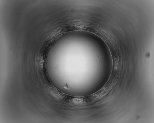 X0000100950279200807011316
