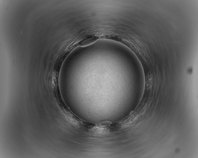 X0000100950280200807011316