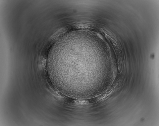 X0000100950281200807011316