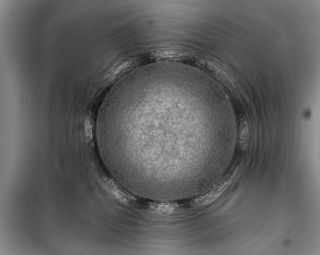 X0000100950282200807011316