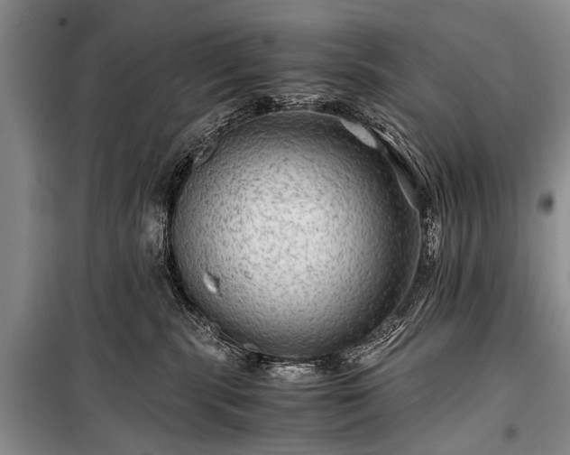 X0000100950283200807011316