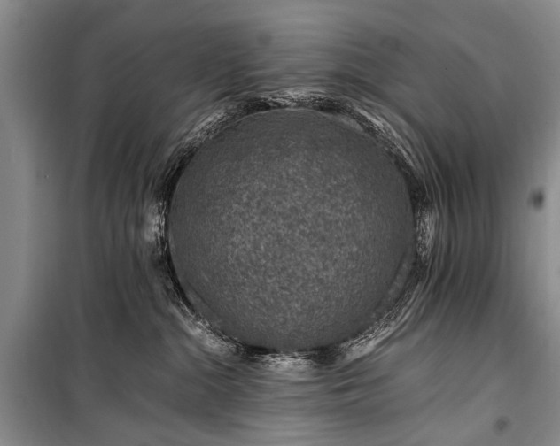 X0000100950284200807011316