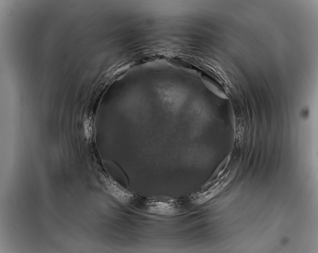 X0000100950285200807011316