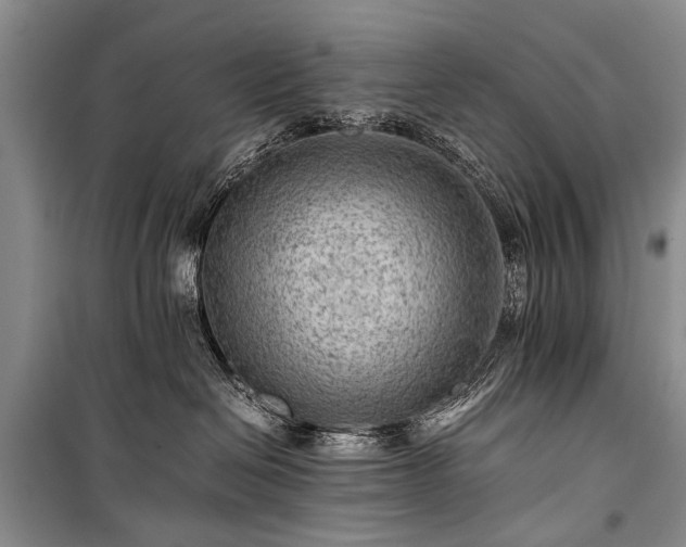 X0000100950286200807011316