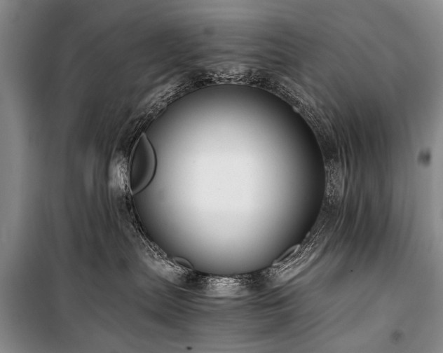 X0000100950287200807011316