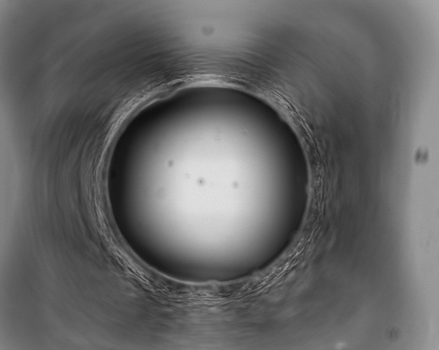 X0000100950289200807011315