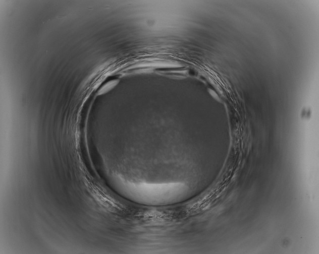 X0000100950290200807011315