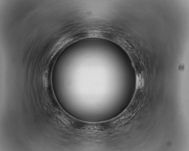 X0000100950291200807011315