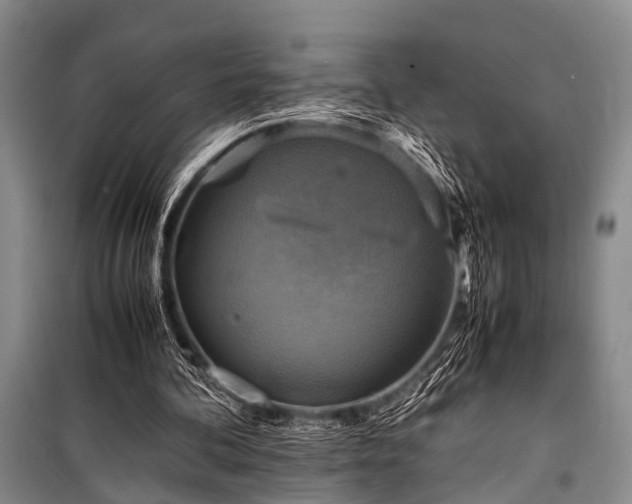 X0000100950292200807011315