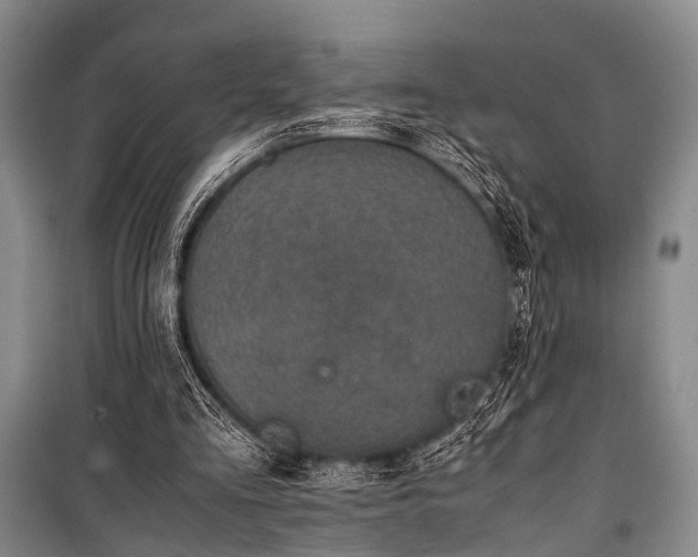 X0000100950293200807011315