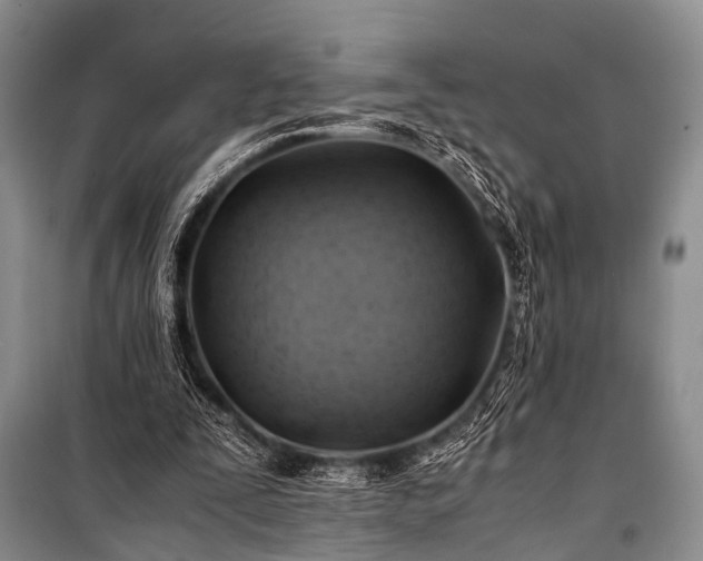 X0000100950295200807011315