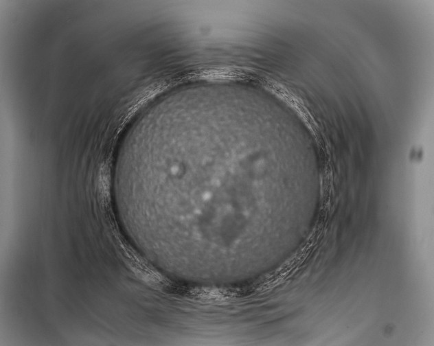 X0000100950297200807011315