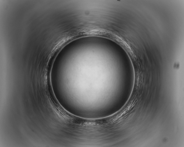 X0000100950298200807011315