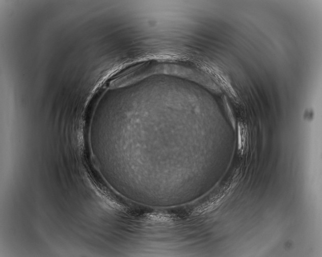 X0000100950300200807011315
