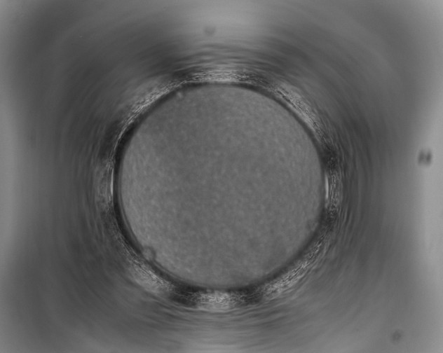 X0000100950301200807011315