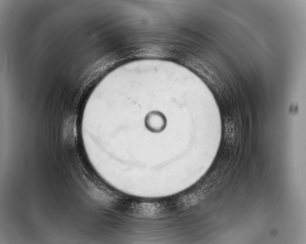 X0000100950302200807011315