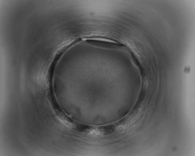 X0000100950303200807011315