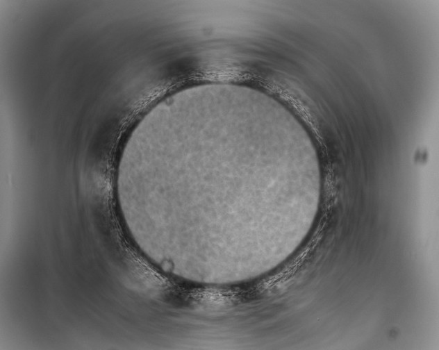X0000100950305200807011315