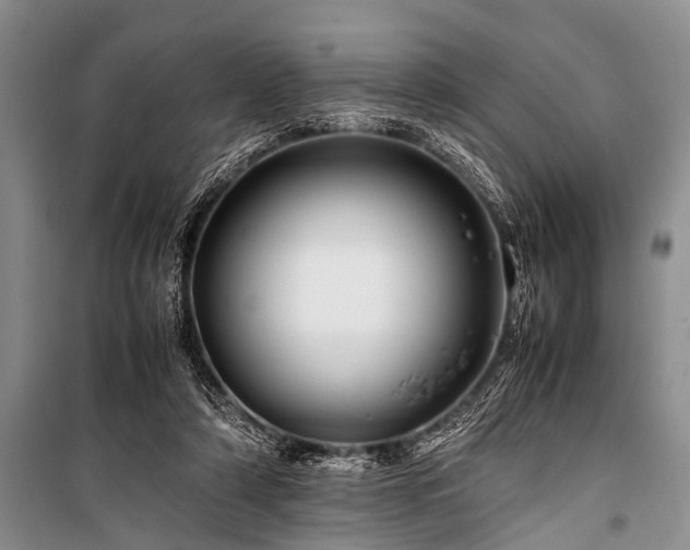 X0000100950306200807011315