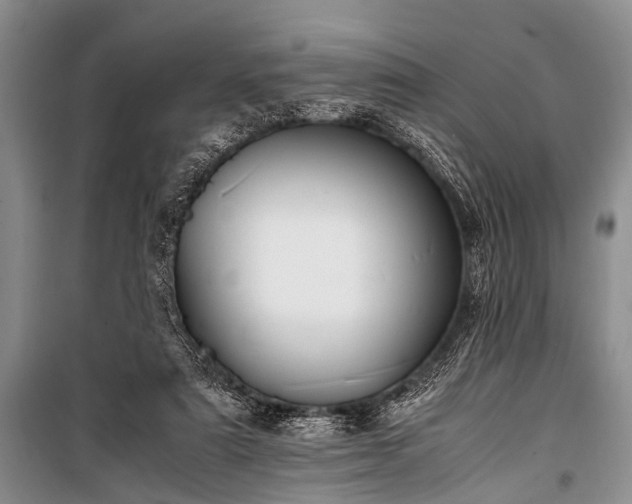 X0000100950307200807011315