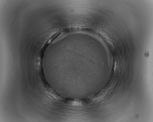 X0000100950308200807011315